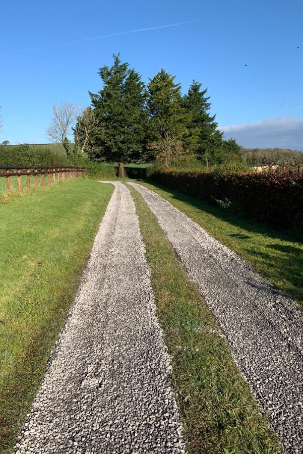Hotel The Reindeer Retreat Buttercup Twin Kidwelly Esterno foto