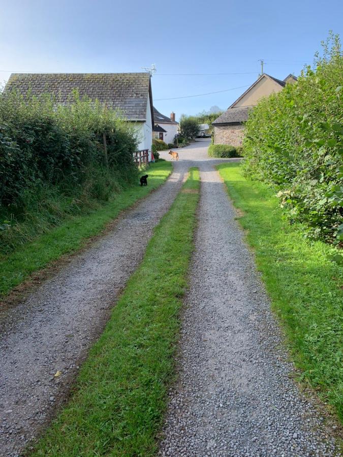 Hotel The Reindeer Retreat Buttercup Twin Kidwelly Esterno foto